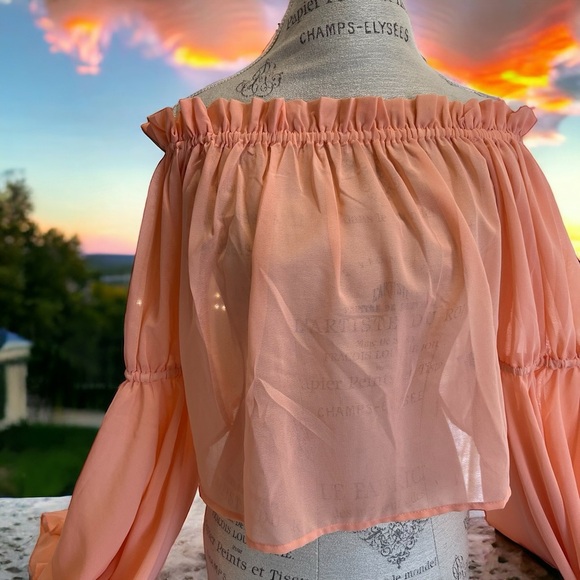 Feel beautiful in this romantic ruffled semi-sheer and feminine peach blouse - Picture 9 of 16